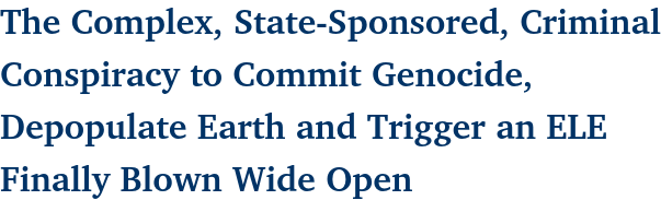 Screenshot 2025 03 29 at 05 42 06 The Complex State Sponsored Criminal Conspiracy to Commit Ge